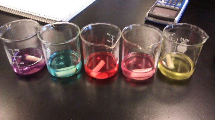 Ap biology diffusion and osmosis lab answers