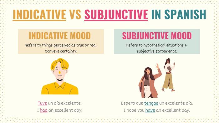 Subjunctive indicative subjonctif laughed asses lingoda verbs differences