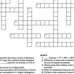 Nervous system crossword puzzle answer key