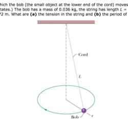 The figure shows a conical pendulum