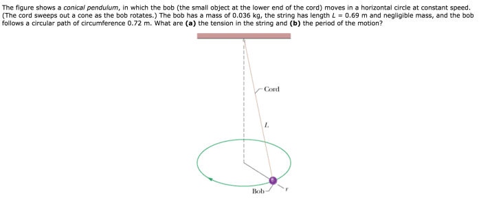 The figure shows a conical pendulum