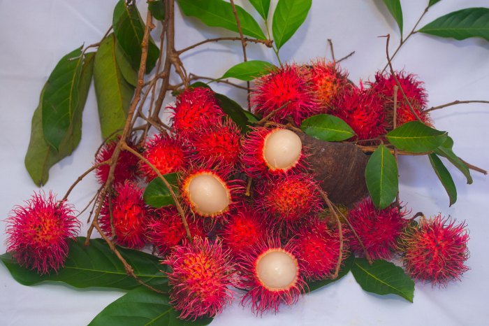 Tropical fruit with bumpy pink shell