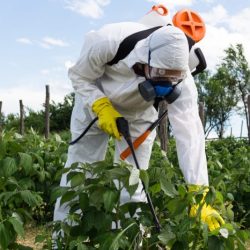 Less pesticides and more ipm quiz