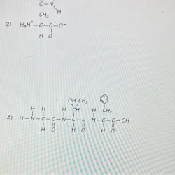 Activity 4.1 5.1 how can you identify organic macromolecules