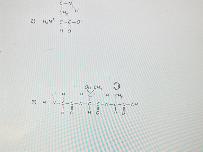 Activity 4.1 5.1 how can you identify organic macromolecules