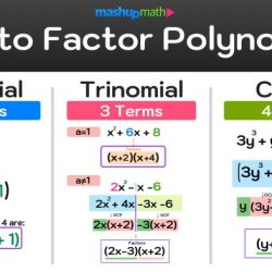 Unit 5 test study guide polynomial functions