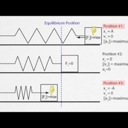 Ap physics 1 simple harmonic motion questions and answers pdf