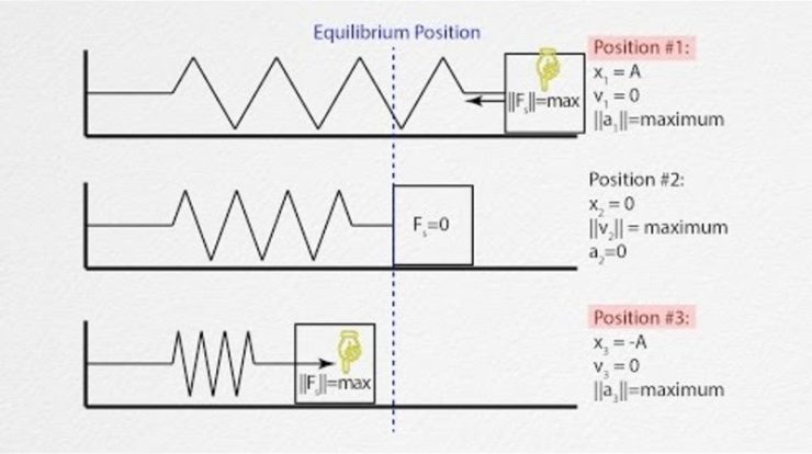 Ap physics 1 simple harmonic motion questions and answers pdf