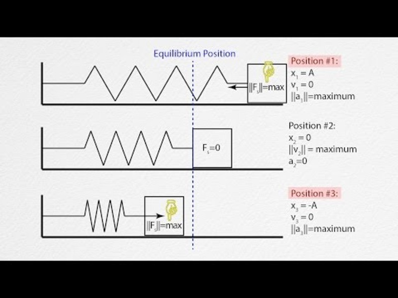 Ap physics 1 simple harmonic motion questions and answers pdf