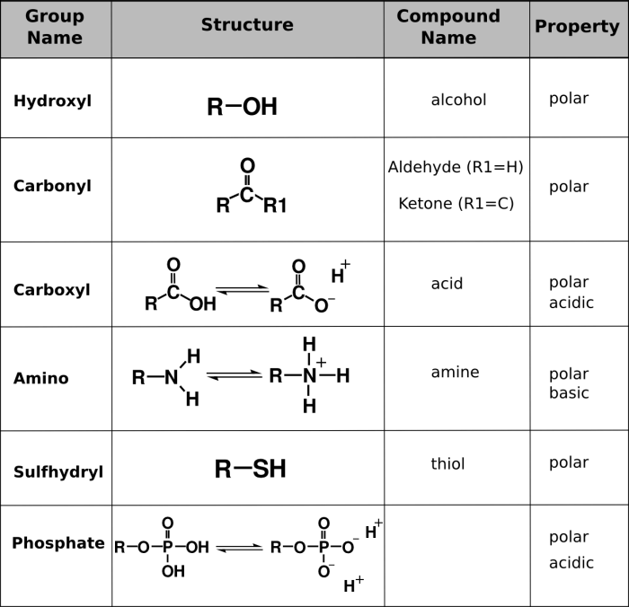 Activity 4.1 5.1 how can you identify organic macromolecules