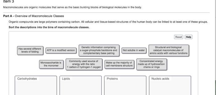 Activity 4.1 5.1 how can you identify organic macromolecules